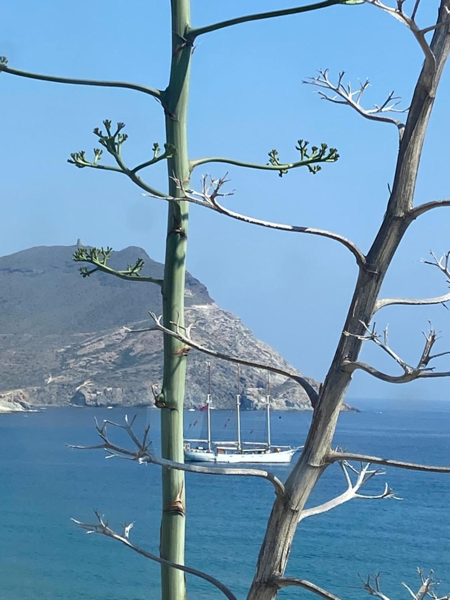 Casa Energia Del Cabo. San Jose Cabo De Gata. 빌라 외부 사진
