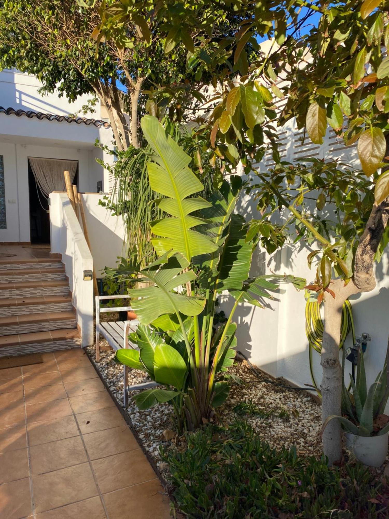 Casa Energia Del Cabo. San Jose Cabo De Gata. 빌라 외부 사진